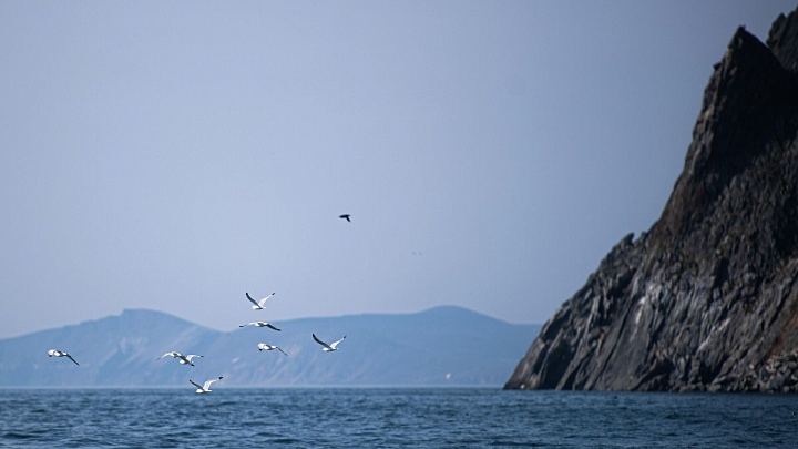 Автор проекта оценил стоимость тоннеля между Чукоткой и Аляской